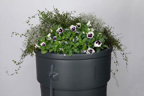 Garden Planter Water Butt