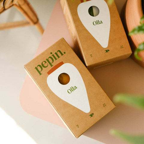 Olla Ceramic Plant Waterers