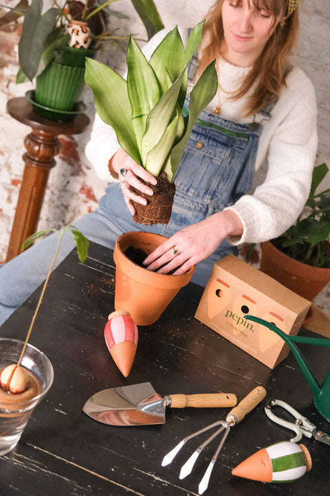 Olla Ceramic Plant Waterers