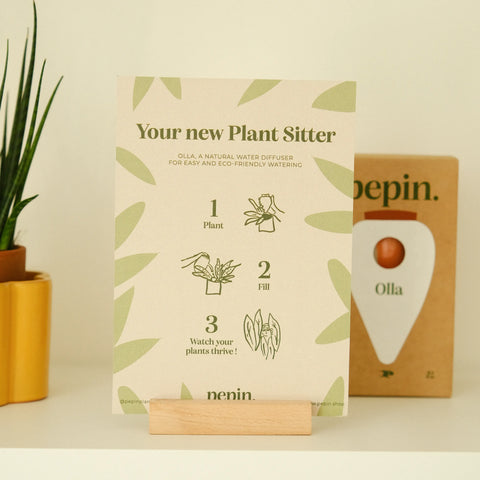 Olla Ceramic Plant Waterers