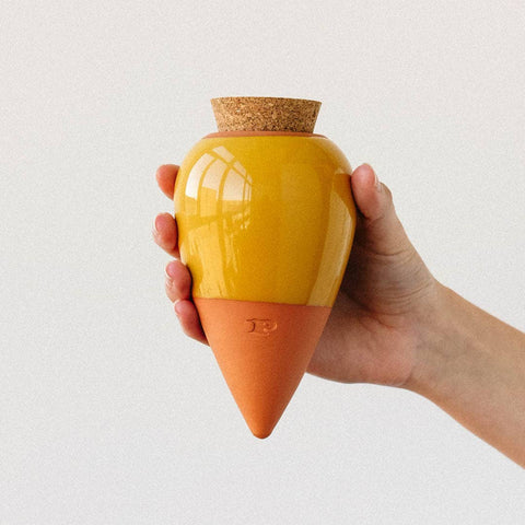 Olla Ceramic Plant Waterers