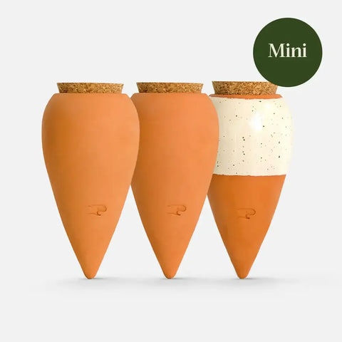 Olla Ceramic Plant Waterers