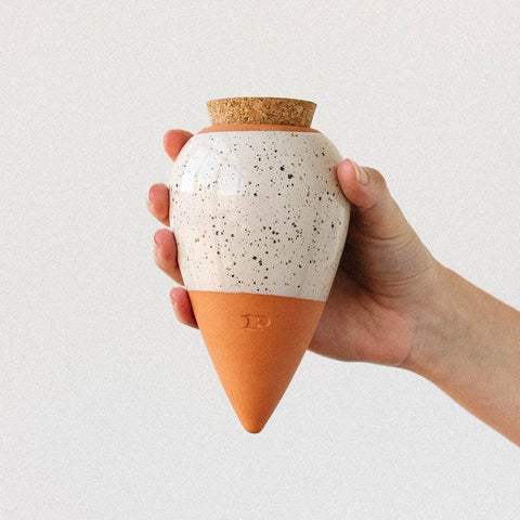 Olla Ceramic Plant Waterers