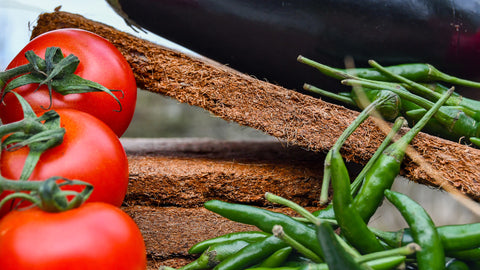 Peat Free Coconut Compost