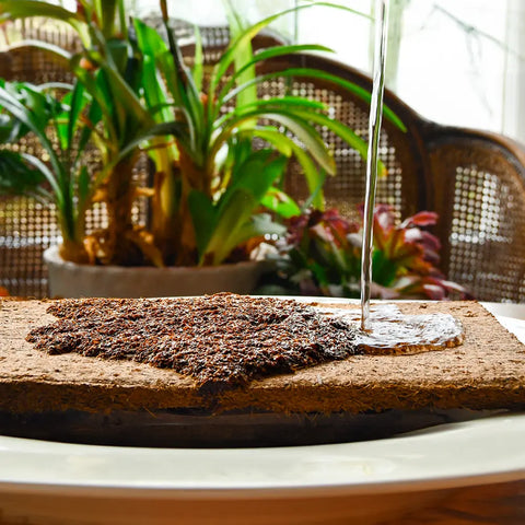 Peat Free Coconut Compost