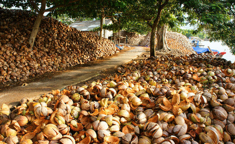 Peat Free Coconut Compost