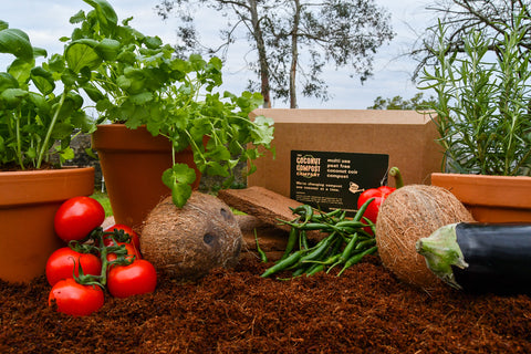 Peat Free Coconut Compost