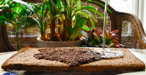 Peat Free Coconut Compost