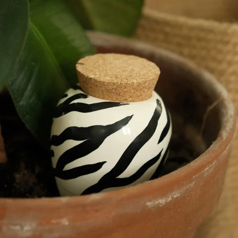 Olla Ceramic Plant Waterers
