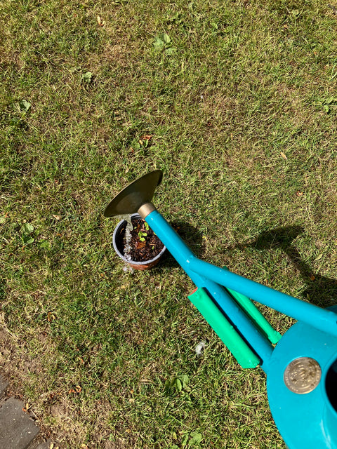 Plantsurge Magnetic Plant Growth Booster