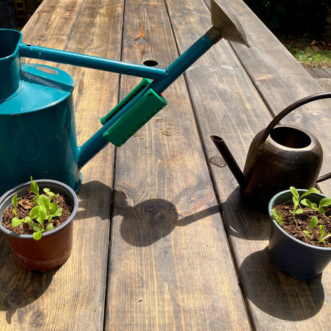 Plantsurge Magnetic Plant Growth Booster