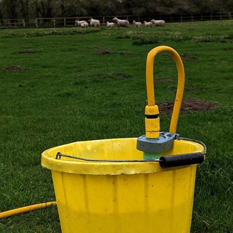 Yellow bucket with hose and nozzle on a grassy field with sheep in the background