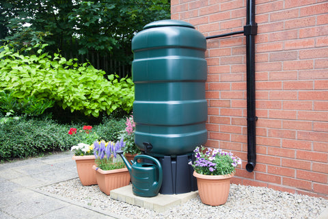 Whitefurze Green Waterbutt Kit